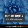 Production Music Live Serum Presets Vol.4 Future Bass Vol.2 (Serum presets) Production Music Live Serum Presets Vol.4 Future Bass Vol.2 (Serum presets)