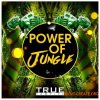 True Samples Power Of JUNGLE (WAV MiDi) - сэмплы Jungle, Electro House, EDM True Samples Power Of JUNGLE (WAV MiDi) - сэмплы Jungle, Electro House, EDM