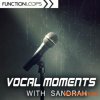 Function Loops Vocal Moments with Sandrah (WAV) - вокальные сэмплы Function Loops Vocal Moments with Sandrah (WAV) - вокальные сэмплы