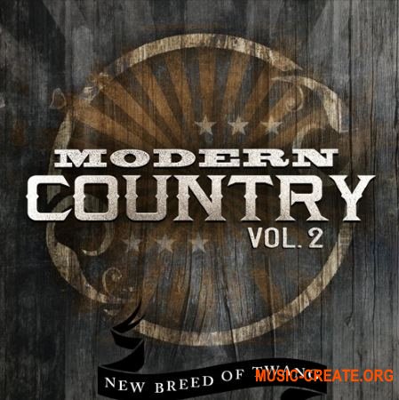 Dieguis Productions Modern Country Vol.2 (KONTAKT) - библиотека звуков Country