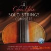 Best Service Chris Hein Solo Strings Complete (KONTAKT) - библиотека струнных инструментов Best Service Chris Hein Solo Strings Complete (KONTAKT) - библиотека струнных инструментов