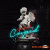 Rebel Nation Audio Sounds Of Cupid (WAV MiDi) - сэмплы RnB, Soul Rebel Nation Audio Sounds Of Cupid (WAV MiDi) - сэмплы RnB, Soul