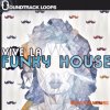 Soundtrack Loops Vive La Funky House (WAV NATiVE iNSTRUMENTS MASCHiNE) - сэмплы Funky House Soundtrack Loops Vive La Funky House (WAV NATiVE iNSTRUMENTS MASCHiNE) - сэмплы Funky House