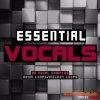 Smokey Loops Essential Vocals (WAV) - вокальные сэмплы Smokey Loops Essential Vocals (WAV) - вокальные сэмплы
