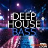 Puma Loops Deep House Bass (WAV MiDi) - сэмплы баса Puma Loops Deep House Bass (WAV MiDi) - сэмплы баса