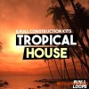 Puma Loops Tropical House (WAV MiDi) - сэмплы Tropical House
