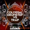 True Samples Colossal Drumstep Vs Trap (WAV SYLENTH1 SERUM SPiRE MASSiVE) - сэмплы Drumstep, Trap