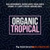 Production Master Organic Tropical (WAV MiDi) - сэмплы Tropical House Production Master Organic Tropical (WAV MiDi) - сэмплы Tropical House