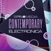 5Pin Media Contemporary Electronica (MULTiFORMAT) - сэмплы Electronica 5Pin Media Contemporary Electronica (MULTiFORMAT) - сэмплы Electronica