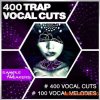 Sample Tweakers 400 Trap Vocal Cuts (WAV) - вокальные сэмплы Sample Tweakers 400 Trap Vocal Cuts (WAV) - вокальные сэмплы