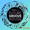 Skifonix Sounds Future Groove House (WAV MiDi MASSiVE) - сэмплы House Skifonix Sounds Future Groove House (WAV MiDi MASSiVE) - сэмплы House