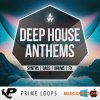 Prime Loops Deep House Anthems (WAV MiDi) - сэмплы Deep House Prime Loops Deep House Anthems (WAV MiDi) - сэмплы Deep House