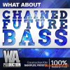 What About Productions What About: Chained Future Bass (WAV MiDi SYLENTH1 SERUM MASSiVE) - сэмплы Future Bass What About Productions What About: Chained Future Bass (WAV MiDi SYLENTH1 SERUM MASSiVE) - сэмплы Future Bass