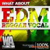 What About Productions What About: EDM Reggae Vocals (WAV) - вокальные сэмплы What About Productions What About: EDM Reggae Vocals (WAV) - вокальные сэмплы