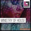 Looptone Ministry of House (MULTiFORMAT) - сэмплы House Looptone Ministry of House (MULTiFORMAT) - сэмплы House