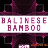 Deep Data Loops Balinese Bamboo (WAV) - сэмплы modern Dance, Ambient