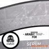 Vandalism Sounds Shocking Arabic Trap (Serum presets)