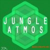 Deep Data Loops Jungle Atmos (WAV MiDi) - сэмплы Ambient, Chillout Deep Data Loops Jungle Atmos (WAV MiDi) - сэмплы Ambient, Chillout
