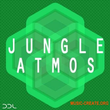Deep Data Loops Jungle Atmos (WAV MiDi) - сэмплы Ambient, Chillout