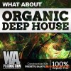WA Production What About Organic Deep House (WAV MiDi MASSiVE SERUM) - сэмплы Deep House WA Production What About Organic Deep House (WAV MiDi MASSiVE SERUM) - сэмплы Deep House