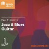 Loop Lounge Raw Elements Jazz and Blues Guitar (WAV) - сэмплы гитары, Jazz, Blues Loop Lounge Raw Elements Jazz and Blues Guitar (WAV) - сэмплы гитары, Jazz, Blues