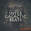 Freaky Loops Intergalactic Beats (MULTiFORMAT) - сэмплы RnB, Future Beats Freaky Loops Intergalactic Beats (MULTiFORMAT) - сэмплы RnB, Future Beats