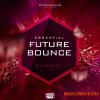 Shockwave Essential Future Bounce (Sylenth1 presets) Shockwave Essential Future Bounce (Sylenth1 presets)