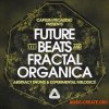 CAPSUN ProAudio Future Beats and Fractal Organica (WAV) - сэмплы Hip-Hop, Future Beats, Lo-Fi, Organic Electronica, Chill Trap, Future Bass, Downtempo, Ambient CAPSUN ProAudio Future Beats and Fractal Organica (WAV) - сэмплы Hip-Hop, Future Beats, Lo-Fi, Organic Electronica, Chill Trap, Future Bass, Downtempo, Ambient