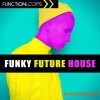 Function Loops Funky Future House (WAV MiDi Massve Sylenth1) - сэмплы Future House Function Loops Funky Future House (WAV MiDi Massve Sylenth1) - сэмплы Future House