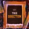 Cartel Loops True Direction (WAV MiDi) - сэмплы RnB, Soul Cartel Loops True Direction (WAV MiDi) - сэмплы RnB, Soul