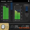 Noise Makers Ambi Limiter v1.0 (Team R2R) - лимитер пиков Noise Makers Ambi Limiter v1.0 (Team R2R) - лимитер пиков