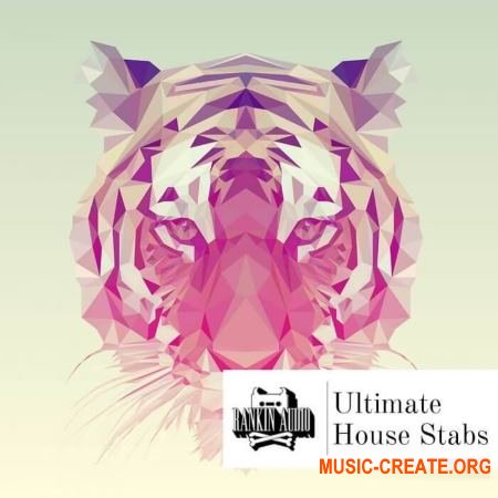 Rankin Audio Ultimate House Stabs (WAV) - сэмплы House Rankin Audio Ultimate House Stabs (WAV) - сэмплы House