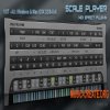 RF Music Scale Player v1.0.1.3 WiN / OSX (Team R2R) - плагин MIDI-эффектов RF Music Scale Player v1.0.1.3 WiN / OSX (Team R2R) - плагин MIDI-эффектов