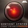 ModeAudio Sentient Synths (Serum presets)
