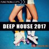 Function Loops Deep House 2017 (WAV MiDi SYLENTH1) - сэмплы Deep House Function Loops Deep House 2017 (WAV MiDi SYLENTH1) - сэмплы Deep House