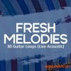 Blackwood Samples Fresh Melodies (WAV) - сэмплы гитары Blackwood Samples Fresh Melodies (WAV) - сэмплы гитары