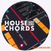 UNDRGRND Sounds House Chords (MULTiFORMAT) - сэмплы House UNDRGRND Sounds House Chords (MULTiFORMAT) - сэмплы House