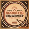 Loopmasters Acoustic Drum Workshop (MULTiFORMAT) - сэмплы ударных Loopmasters Acoustic Drum Workshop (MULTiFORMAT) - сэмплы ударных