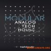 Big Fish Audio Modular Analog Tech House (MULTiFORMAT) - сэмплы Tech House