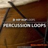 ThaLoops Trippin Percussion Loops (WAV REX AiFF) - сэмплы перкуссии