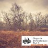 Rankin Audio Organic Downtempo Vol. 2 (WAV) - сэмплы Downtempo Rankin Audio Organic Downtempo Vol. 2 (WAV) - сэмплы Downtempo