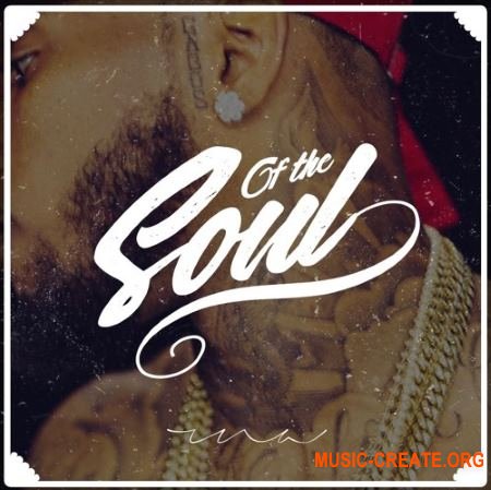 SAMI THE PRODUCER Of The Soul (WAV) - сэмплы RnB, Soul SAMI THE PRODUCER Of The Soul (WAV) - сэмплы RnB, Soul