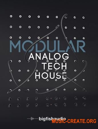Big Fish Audio Modular Analog Tech House (MULTiFORMAT) - сэмплы Tech House Big Fish Audio Modular Analog Tech House (MULTiFORMAT) - сэмплы Tech House