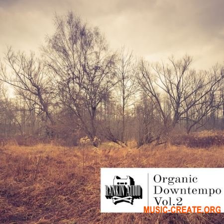 Rankin Audio Organic Downtempo Vol. 2 (WAV) - сэмплы Downtempo