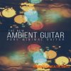 8Dio The New Ambient Guitar (KONTAKT) - библиотека гитары 8Dio The New Ambient Guitar (KONTAKT) - библиотека гитары