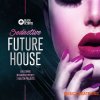 Black Octopus Sound Seductive Future House (WAV MiDi ABLETON LiVE TEMPLATE MASSiVE) - сэмплы Future House Black Octopus Sound Seductive Future House (WAV MiDi ABLETON LiVE TEMPLATE MASSiVE) - сэмплы Future House