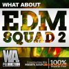 W. A. Production What About: EDM Squad 2 (WAV MiDi SYLENTH1) - сэмплы EDM W. A. Production What About: EDM Squad 2 (WAV MiDi SYLENTH1) - сэмплы EDM