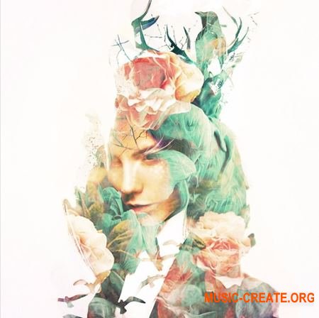 Samplephonics Precinct A.M. Sessions (WAV) - сэмплы Ambient, Electronica, Downtempo