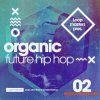 Loopmasters Organic Future Hip Hop 2 (MULTiFORMAT) - сэмплы Hip Hop Loopmasters Organic Future Hip Hop 2 (MULTiFORMAT) - сэмплы Hip Hop