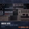 Black Octopus Sound Ambient Kicks (WAV) - сэмплы бас-барабанов Black Octopus Sound Ambient Kicks (WAV) - сэмплы бас-барабанов